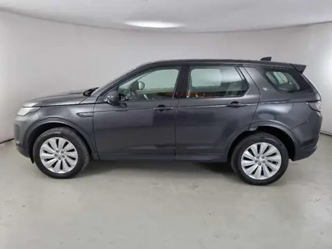 Used LAND ROVER DISCOVERY Hybrid 2020 Ad 