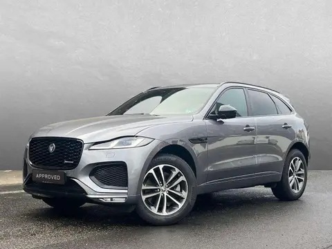 Used JAGUAR F-PACE Diesel 2024 Ad 