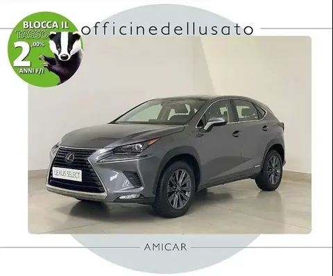 Annonce LEXUS NX Hybride 2021 d'occasion 