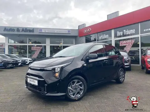 Used KIA PICANTO Petrol 2024 Ad 