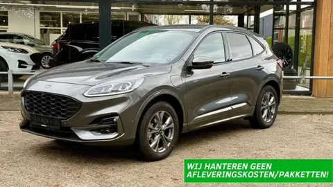 Used FORD KUGA Hybrid 2024 Ad 