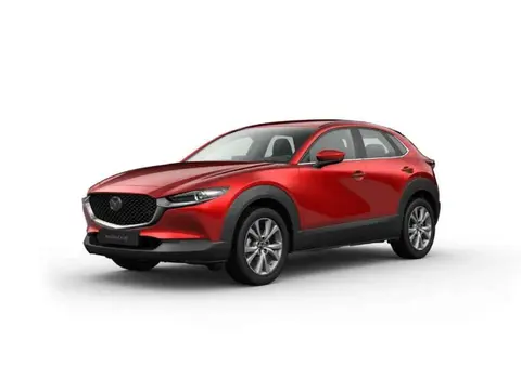 Annonce MAZDA CX-30 Hybride 2024 d'occasion 