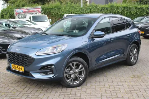 Used FORD KUGA Hybrid 2022 Ad 