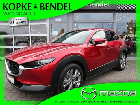 Annonce MAZDA CX-30 Hybride 2021 d'occasion 