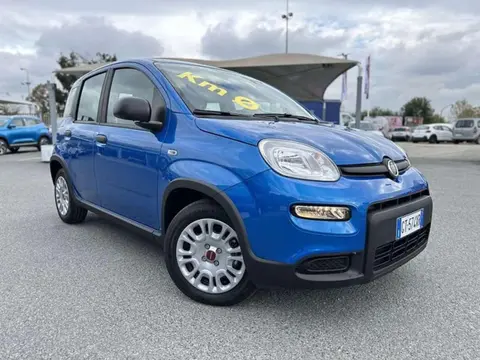 Annonce FIAT PANDA Hybride 2024 d'occasion 