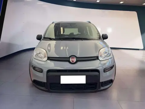 Annonce FIAT PANDA Hybride 2022 d'occasion 