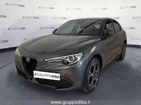 Used ALFA ROMEO STELVIO Diesel 2021 Ad 