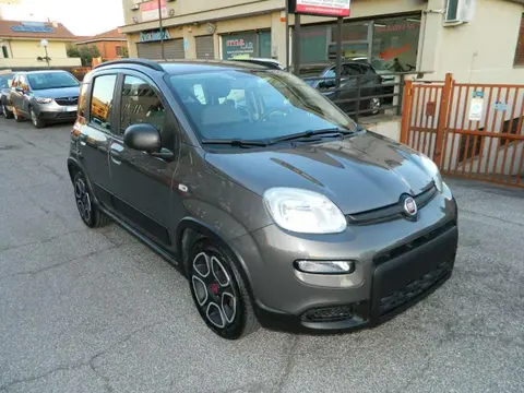 Annonce FIAT PANDA Hybride 2022 d'occasion 