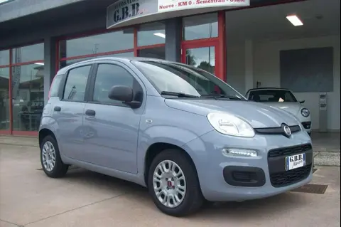 Annonce FIAT PANDA Hybride 2022 d'occasion 