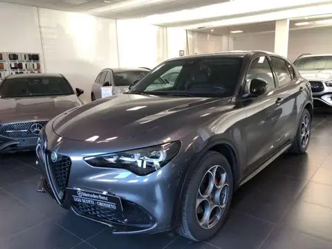 Annonce ALFA ROMEO STELVIO Diesel 2023 d'occasion 