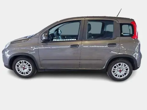 Used FIAT PANDA Hybrid 2023 Ad 