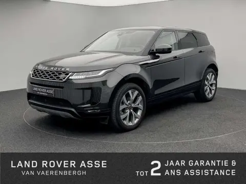 Used LAND ROVER RANGE ROVER EVOQUE Petrol 2019 Ad 