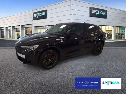 Used ALFA ROMEO STELVIO Petrol 2023 Ad 