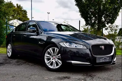 Annonce JAGUAR XF Diesel 2016 d'occasion 