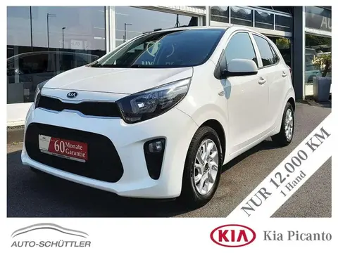 Used KIA PICANTO Petrol 2019 Ad 