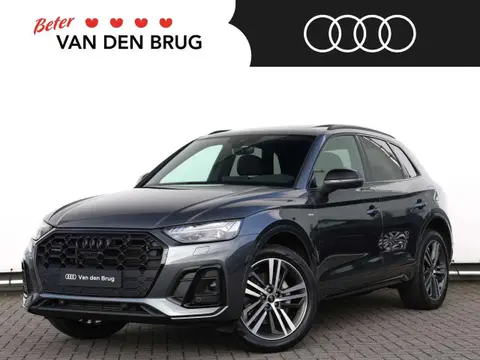 Used AUDI Q5 Hybrid 2023 Ad 