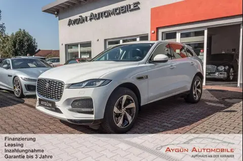 Used JAGUAR F-PACE Diesel 2021 Ad 