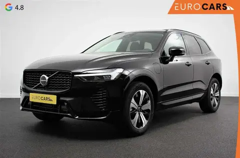 Used VOLVO XC60 Hybrid 2023 Ad 