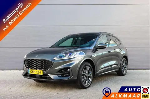 Annonce FORD KUGA Hybride 2021 d'occasion 