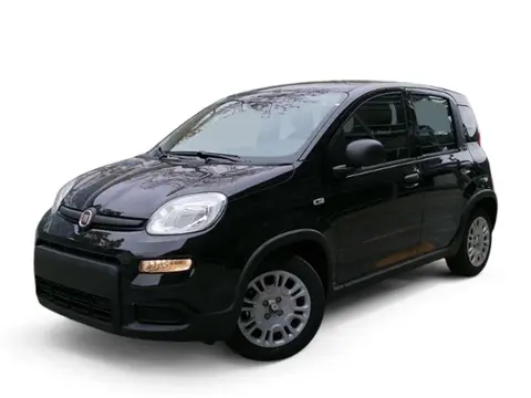 Annonce FIAT PANDA Essence 2024 d'occasion 