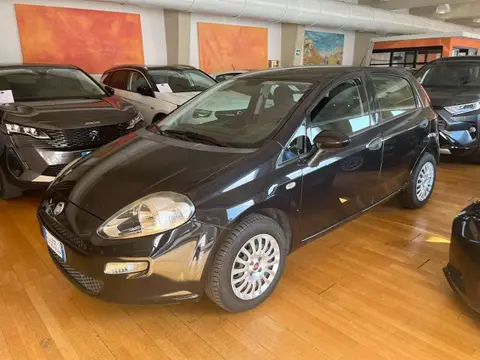 Used FIAT PUNTO Petrol 2017 Ad 