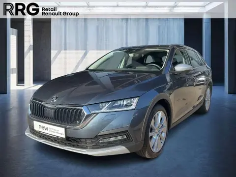 Used SKODA OCTAVIA Diesel 2021 Ad 