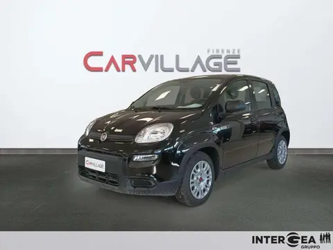 Used FIAT PANDA Hybrid 2024 Ad 