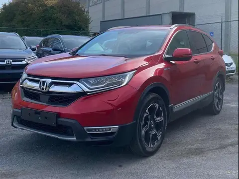 Used HONDA CR-V Petrol 2019 Ad 