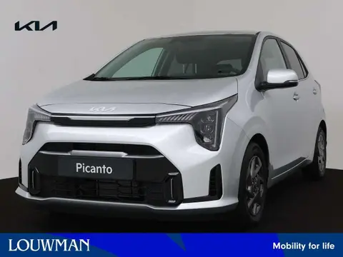 Used KIA PICANTO Petrol 2024 Ad 