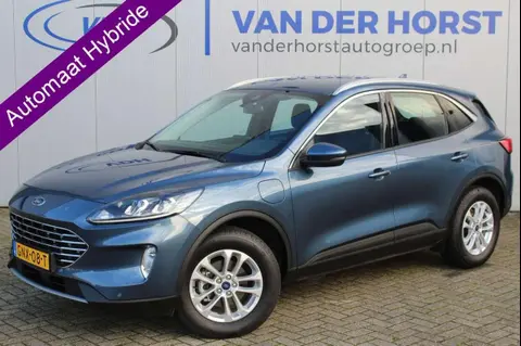 Used FORD KUGA Hybrid 2024 Ad 