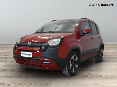 Used FIAT PANDA Hybrid 2023 Ad 