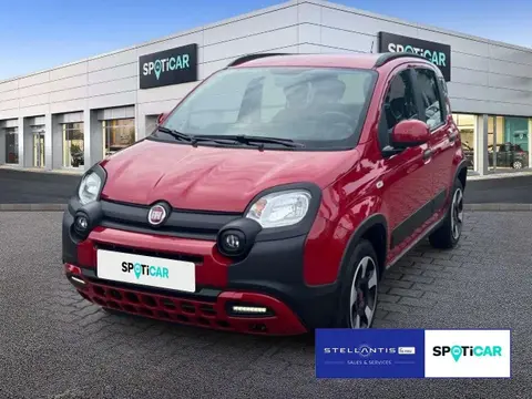 Annonce FIAT PANDA Essence 2023 d'occasion 