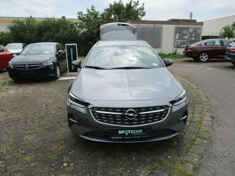 Annonce OPEL INSIGNIA Diesel 2021 d'occasion 