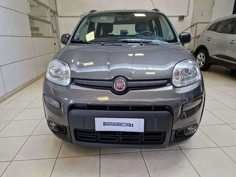 Used FIAT PANDA Hybrid 2021 Ad 