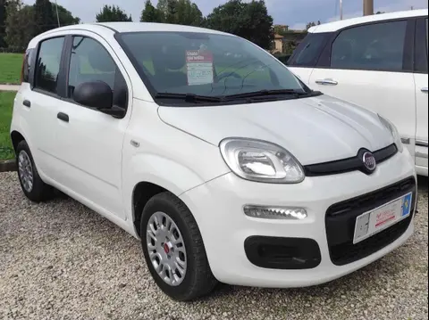 Used FIAT PANDA Petrol 2019 Ad 