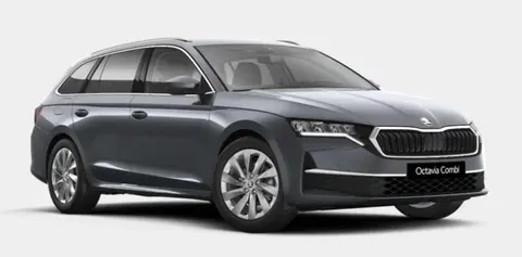 Annonce SKODA OCTAVIA Essence 2024 d'occasion 