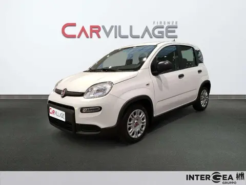 Used FIAT PANDA Hybrid 2023 Ad 