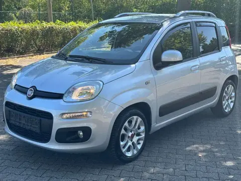 Used FIAT PANDA Petrol 2017 Ad 