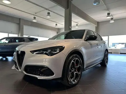 Used ALFA ROMEO STELVIO Diesel 2024 Ad 