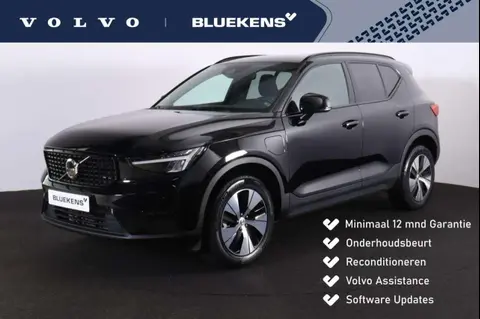 Used VOLVO XC40 Hybrid 2022 Ad 