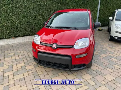 Used FIAT PANDA Hybrid 2024 Ad 