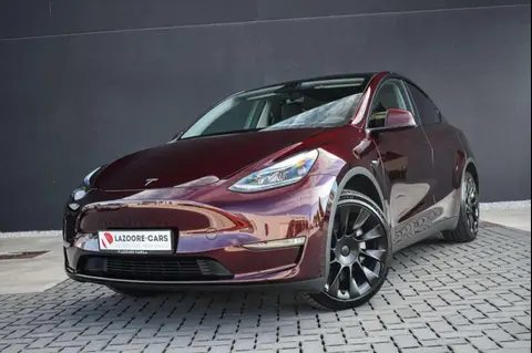 Annonce TESLA MODEL Y Électrique 2024 d'occasion 