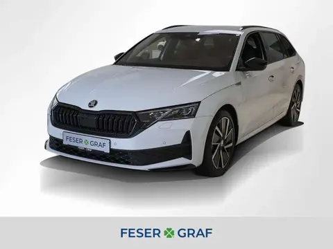 Annonce SKODA OCTAVIA Essence 2024 d'occasion 