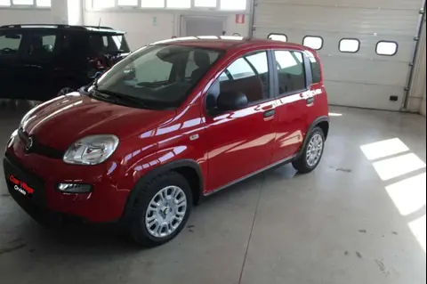 Used FIAT PANDA Hybrid 2024 Ad 