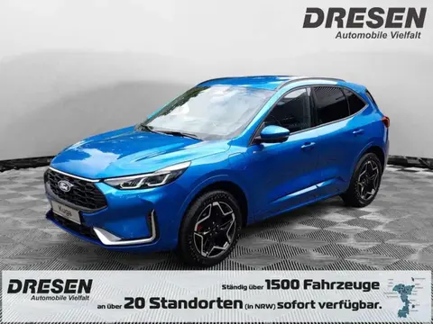 Annonce FORD KUGA Hybride 2024 d'occasion 