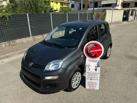 Annonce FIAT PANDA Essence 2018 d'occasion 