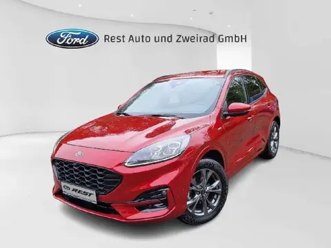 Annonce FORD KUGA Diesel 2020 d'occasion 