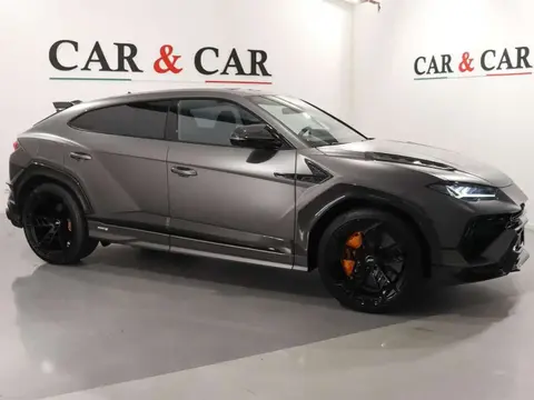 Used LAMBORGHINI URUS Petrol 2024 Ad 