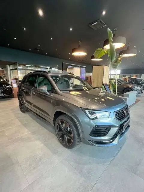 Used CUPRA ATECA Petrol 2023 Ad 