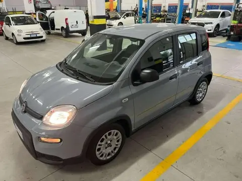 Used FIAT PANDA Hybrid 2022 Ad 